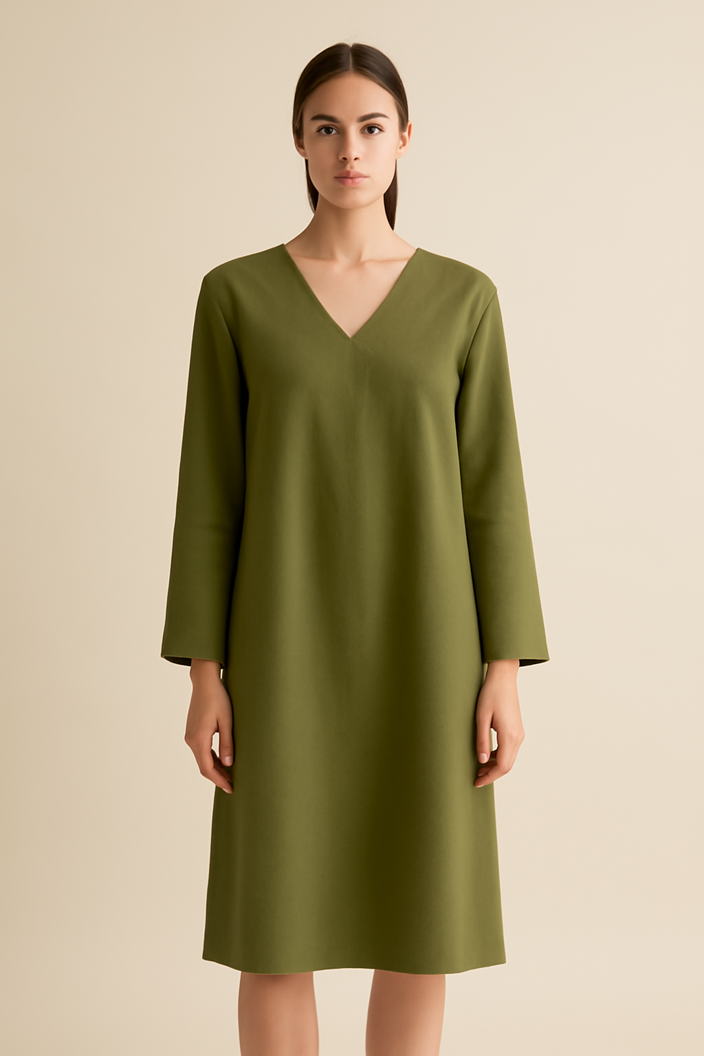 Meridian V-Neck Linen Relaxed Dress