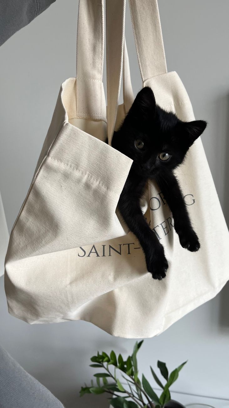 Dune Canvas Canvas Bag