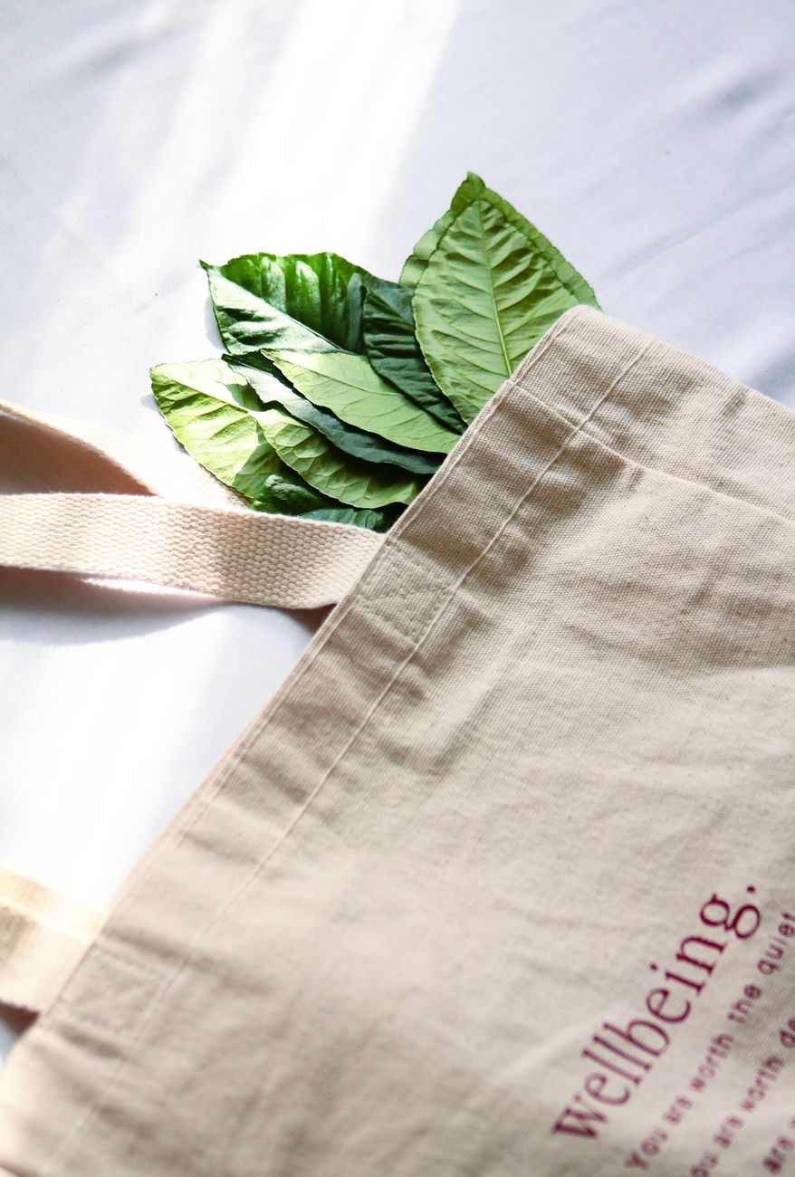 Cove Canvas Shoulder Bag