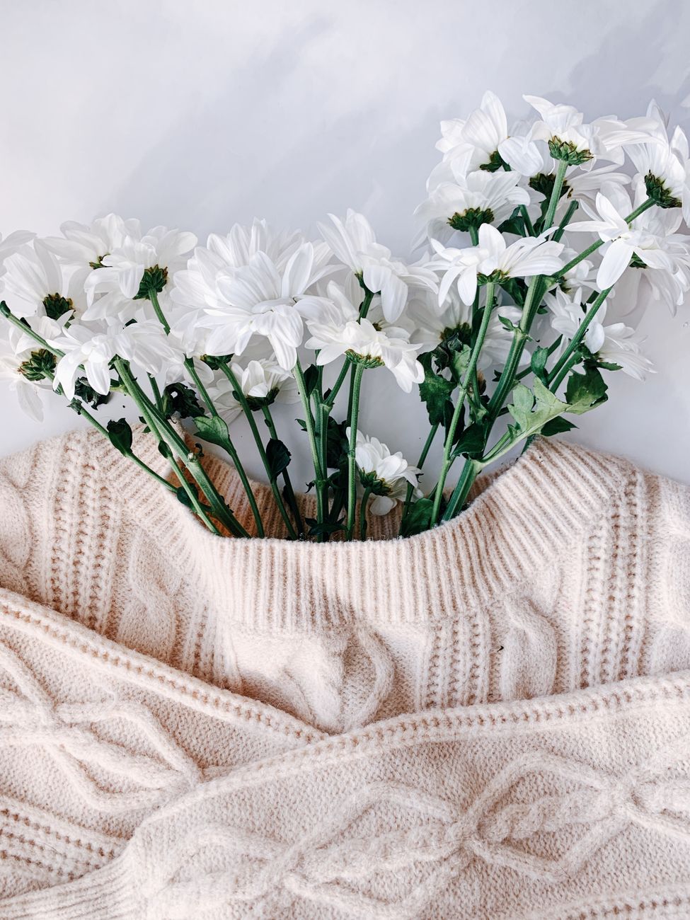 Solstice Organic Crewneck Sweater